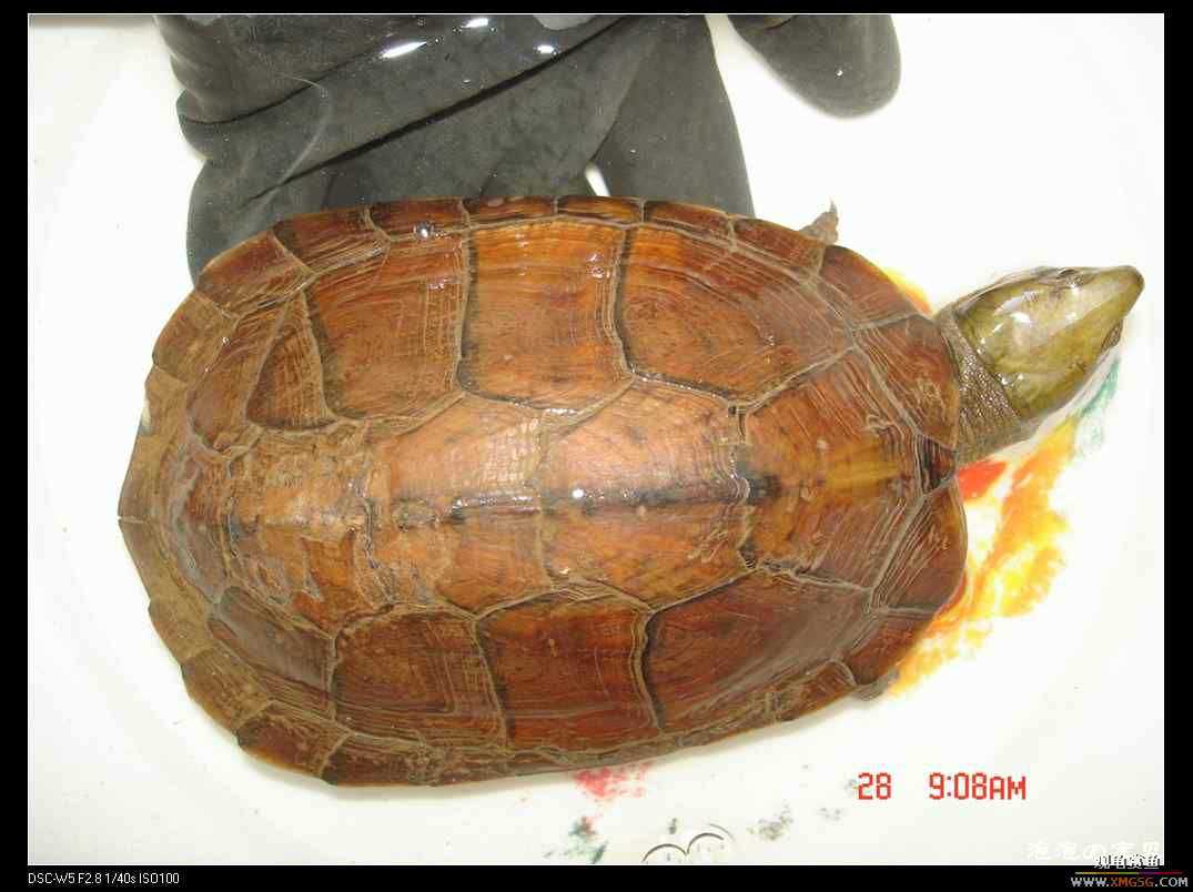 [��]070103 ��Ǵ���Ұ��С����