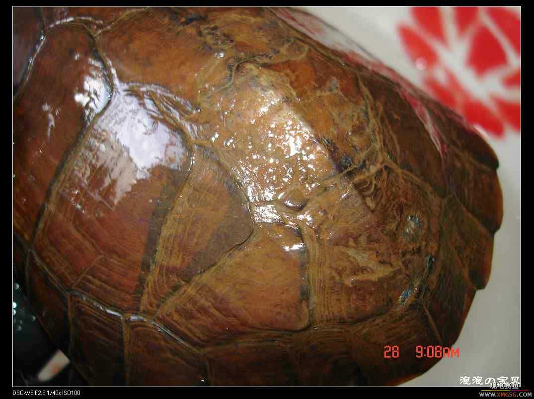 [��]070103 ��Ǵ���Ұ��С����