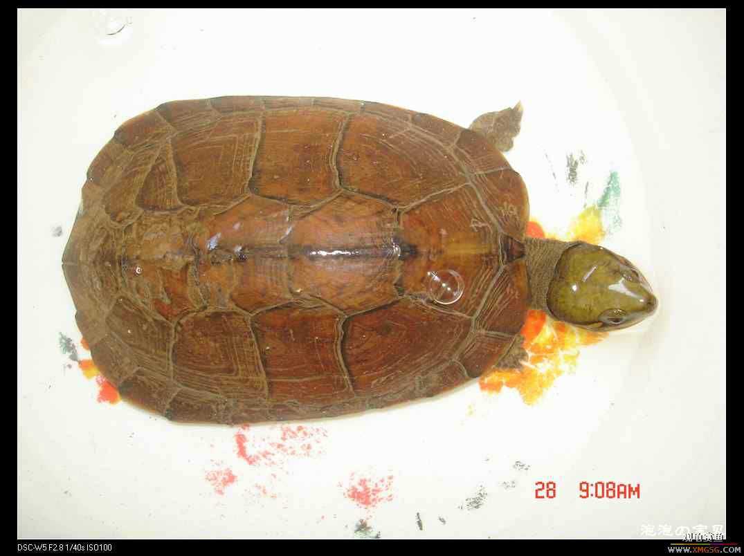 [��]070103 ��Ǵ���Ұ��С����