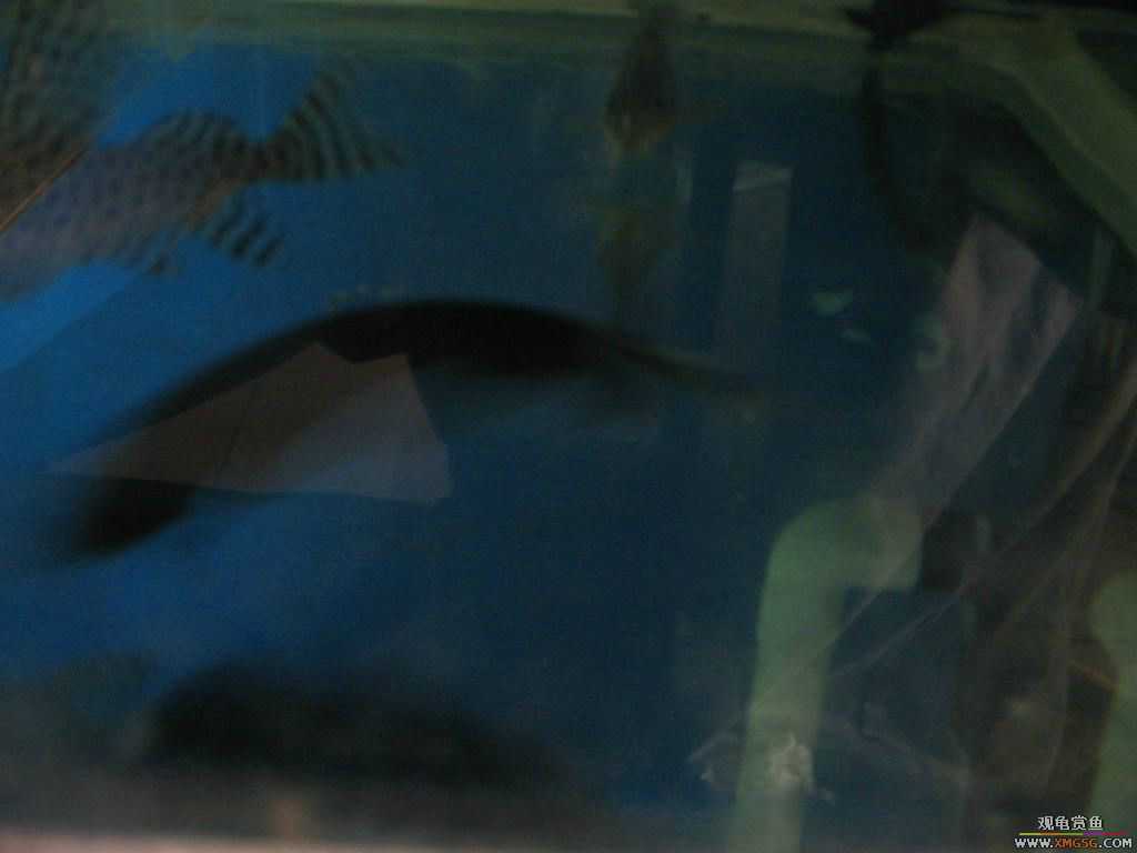 [�̼�]������֮�� ����·