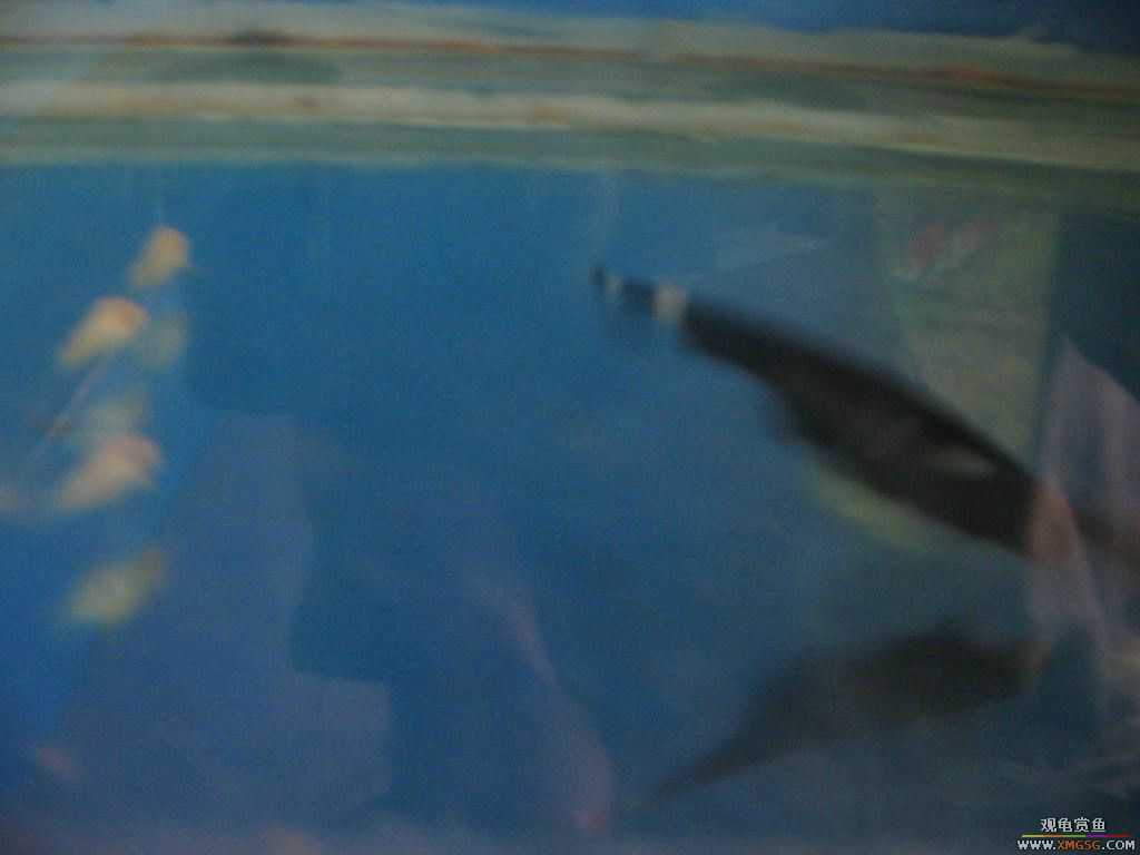 [�̼�]������֮�� ����·