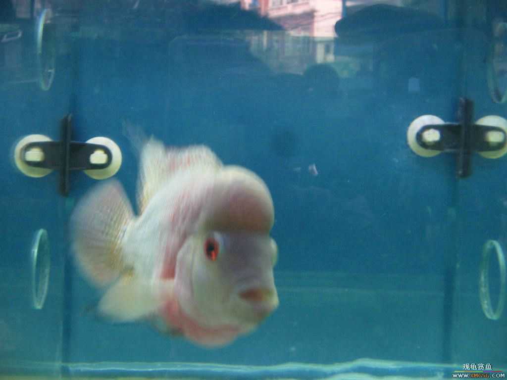 [�̼�]������֮�� ����·