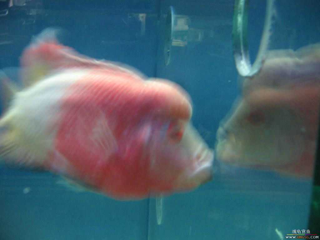 [�̼�]������֮�� ����·