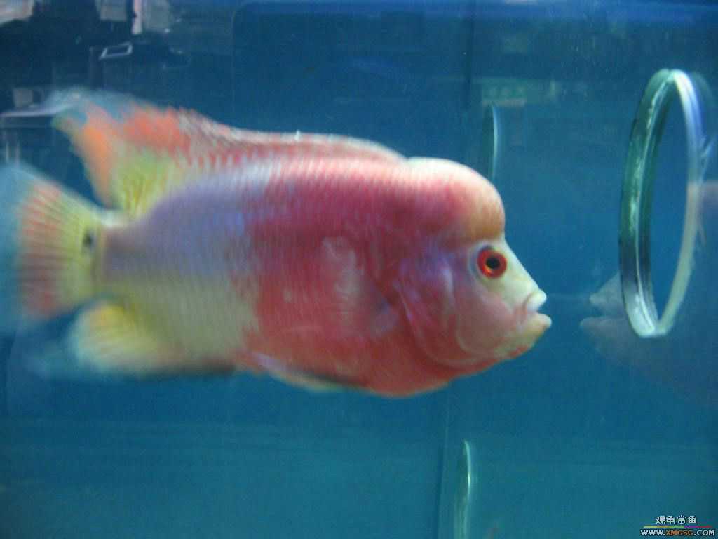 [�̼�]������֮�� ����·