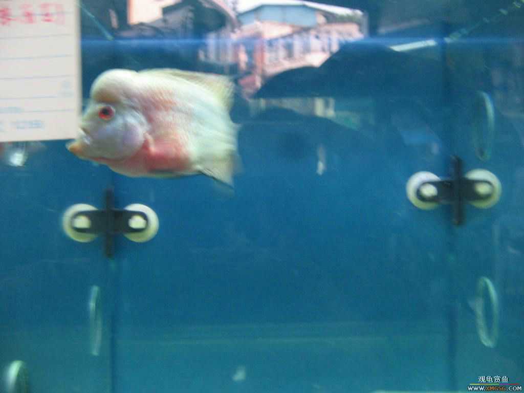 [�̼�]������֮�� ����·