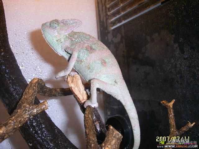 �ⶫ��Ҫ����Ǯ��