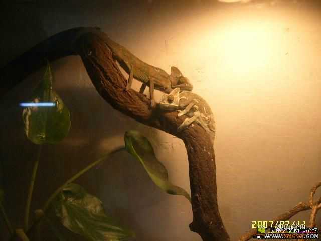 �ⶫ��Ҫ����Ǯ��