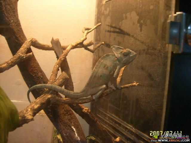 �ⶫ��Ҫ����Ǯ��