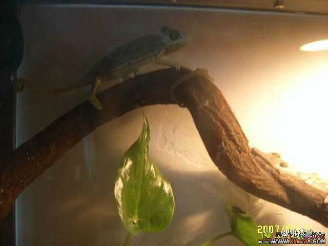 �ⶫ��Ҫ����Ǯ��