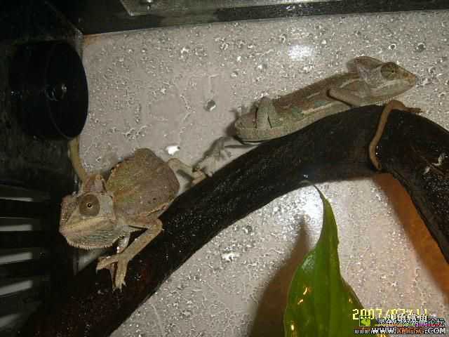 �ⶫ��Ҫ����Ǯ��