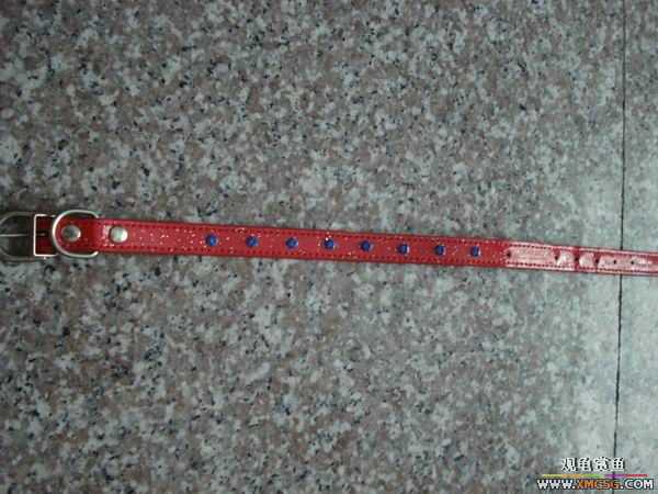 ����������������ǣ����