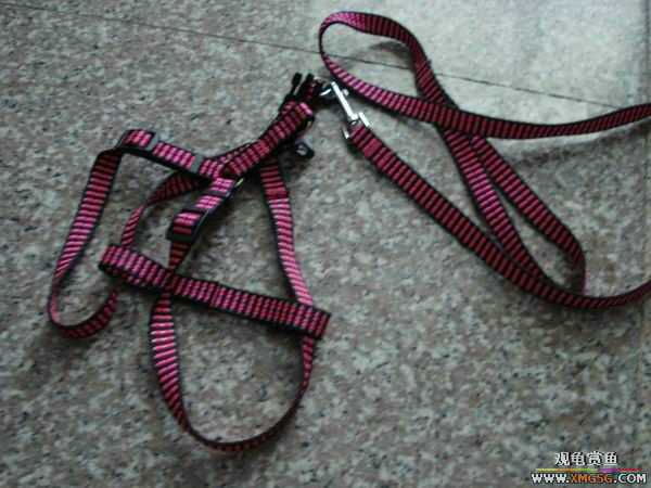 ����������������ǣ����