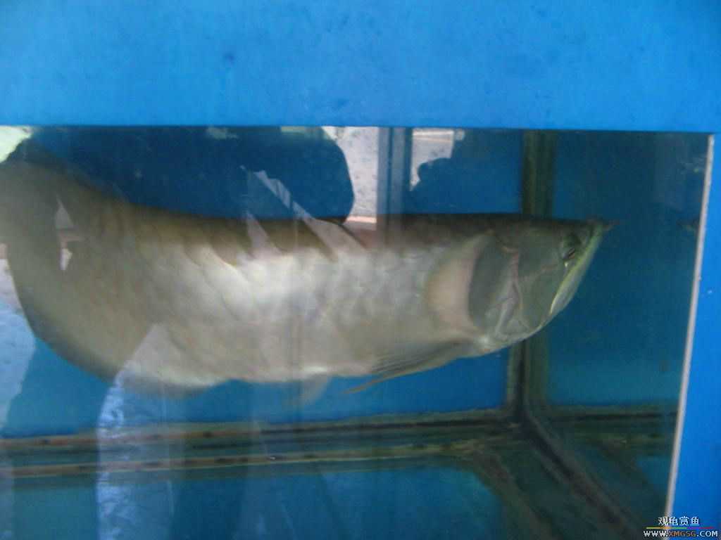 [�̼�]������֮�� ����·