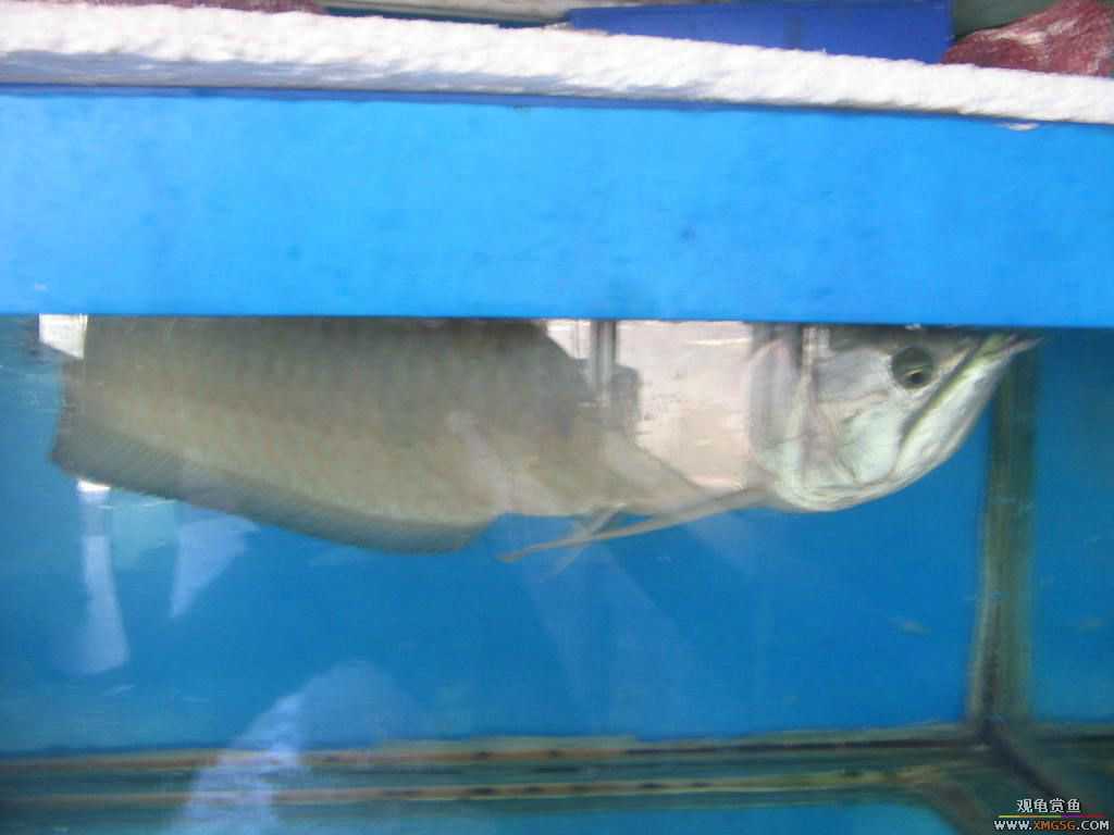 [�̼�]������֮�� ����·