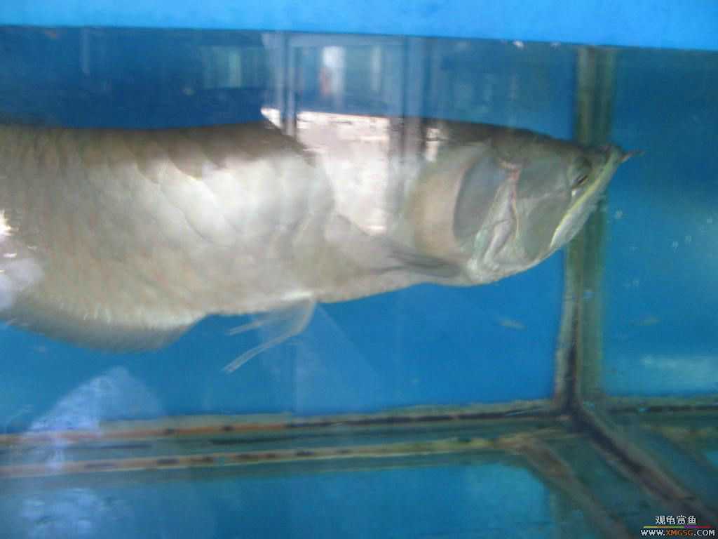 [�̼�]������֮�� ����·