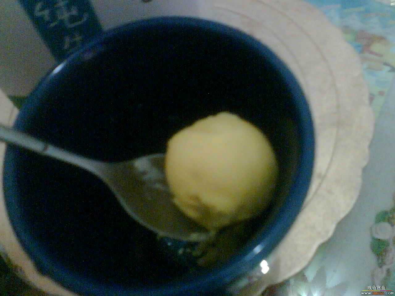 [ԭ��]Ч��ţ����ֽ����Է���������