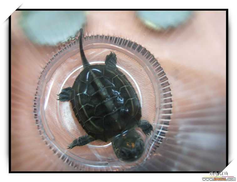 [ԭ��]��@Ů��^KTV^(7.28FBд���ʵ)