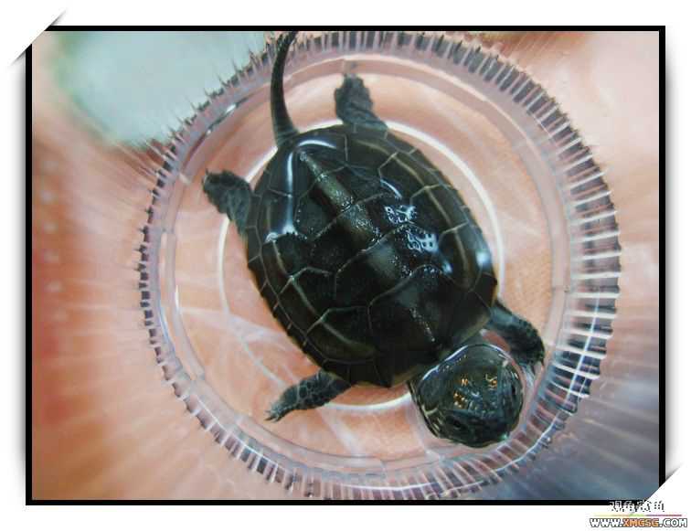 [ԭ��]��@Ů��^KTV^(7.28FBд���ʵ)