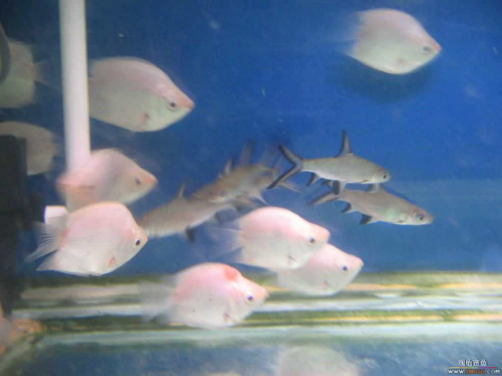 [�̼�]������֮�� ����·