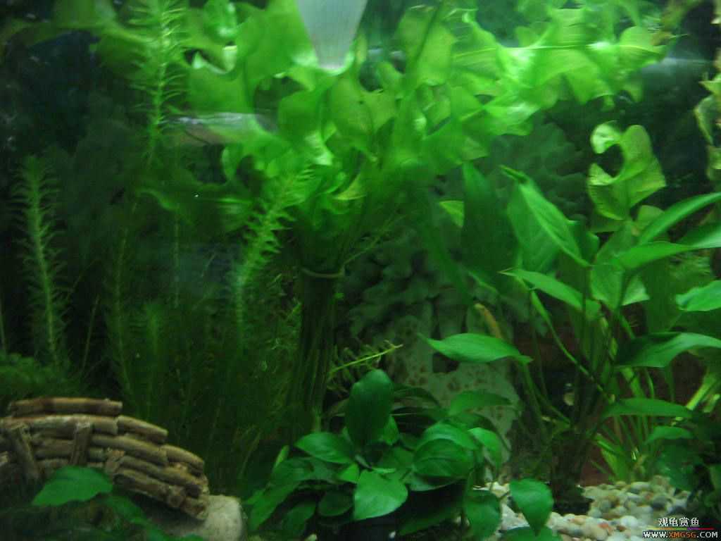 [�̼�]������֮�� ����·