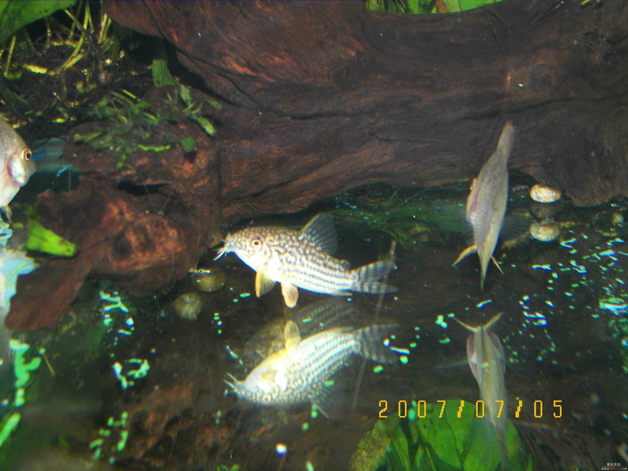 2007.06.28��̳��һ�������Ź��㱨��