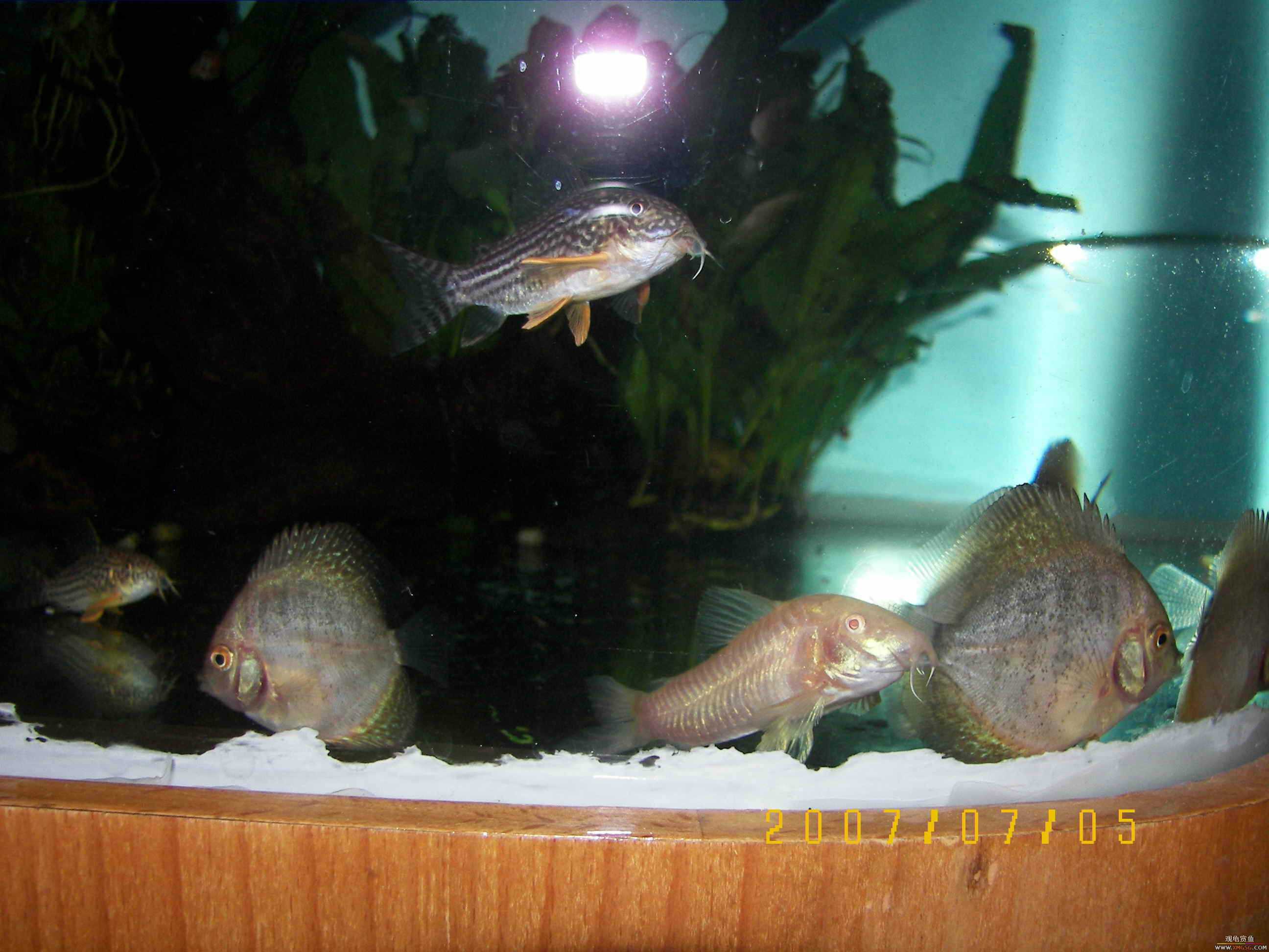 2007.06.28��̳��һ�������Ź��㱨��