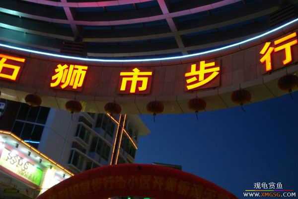 [ԭ��]����&����ʯʨһ����,�����˾�Υ��BELL��LEO