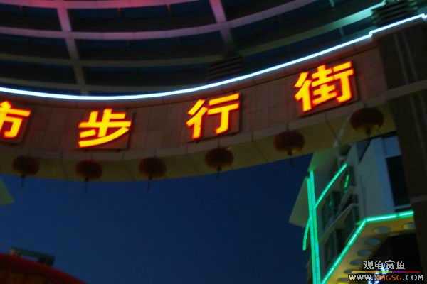 [ԭ��]����&����ʯʨһ����,�����˾�Υ��BELL��LEO