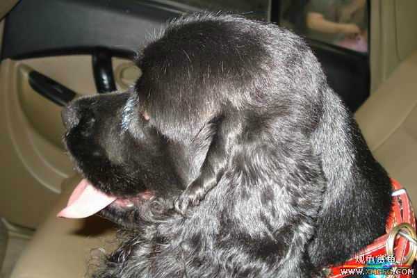 [ԭ��]����&����ʯʨһ����