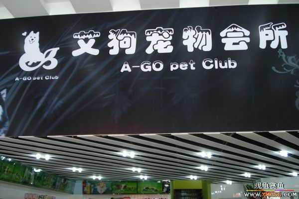 [ԭ��]����&����ʯʨһ����