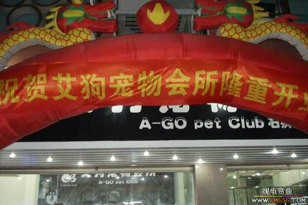 [ԭ��]����&����ʯʨһ����