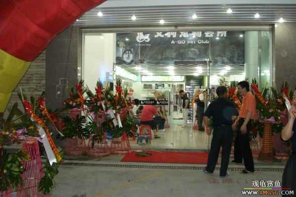 [ԭ��]����&����ʯʨһ����