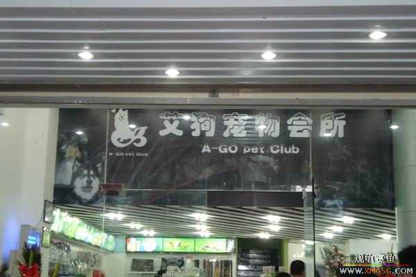 [ԭ��]����&����ʯʨһ����