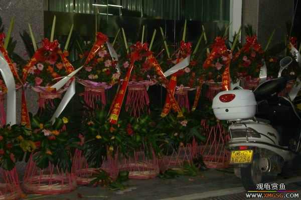 [ԭ��]����&����ʯʨһ����