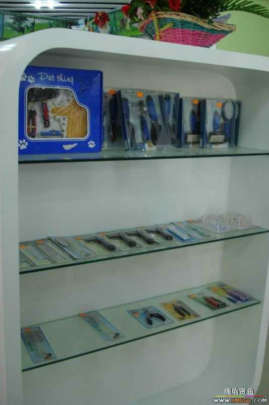 [ԭ��]����&����ʯʨһ����,�����˾�Υ��BELL��LEO