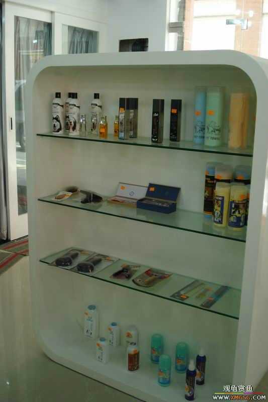 [ԭ��]����&����ʯʨһ����,�����˾�Υ��BELL��LEO