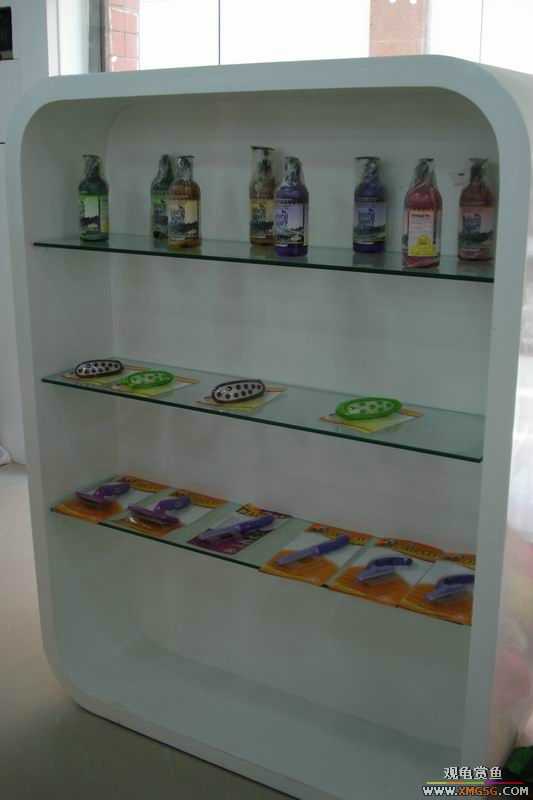 [ԭ��]����&����ʯʨһ����,�����˾�Υ��BELL��LEO