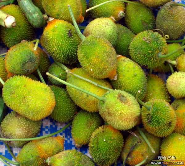 [ԭ��]����г��������һ��