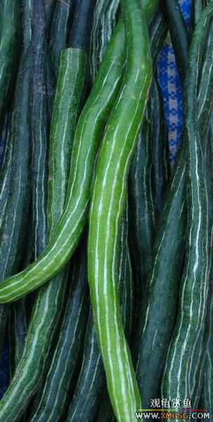 [ԭ��]����г��������һ��