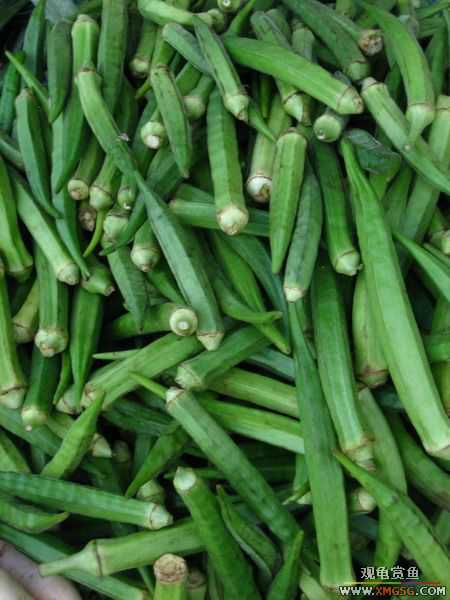 [ԭ��]����г��������һ��