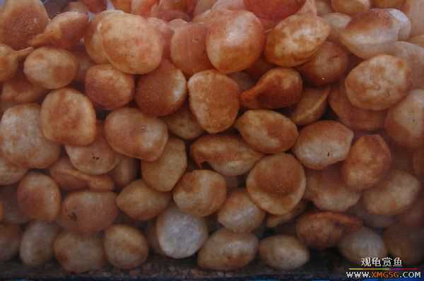 [ԭ��]����г��������һ��