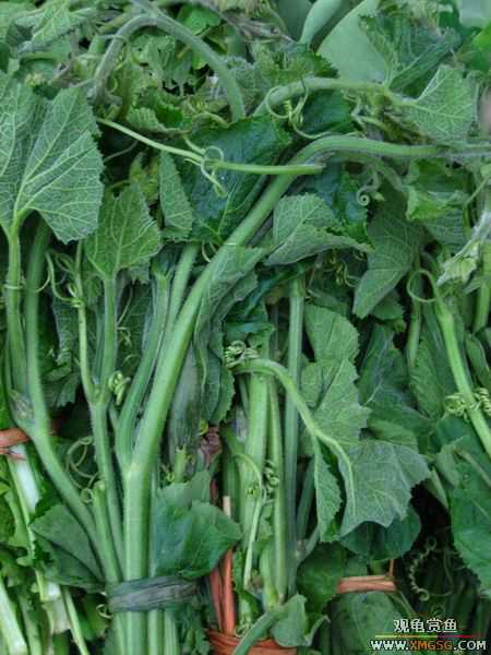 [ԭ��]����г��������һ��