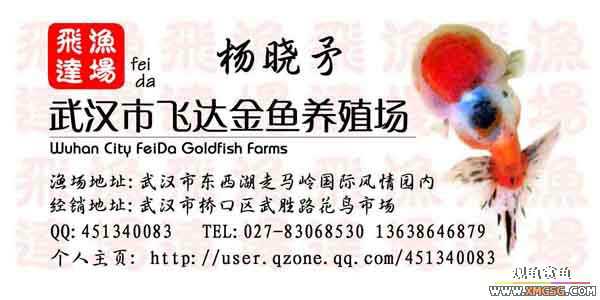 �人èʨ��ֳ����.�ɴ������ֳ��.�Ͻ���������