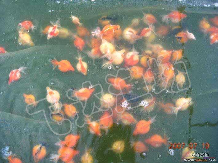 �人èʨ��ֳ����.�ɴ������ֳ��.�Ͻ���������