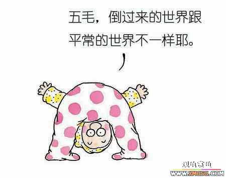 �����ӹ ����С����2