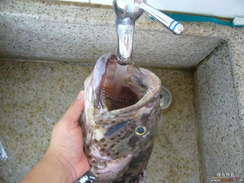 ���������ˣ������Ų���