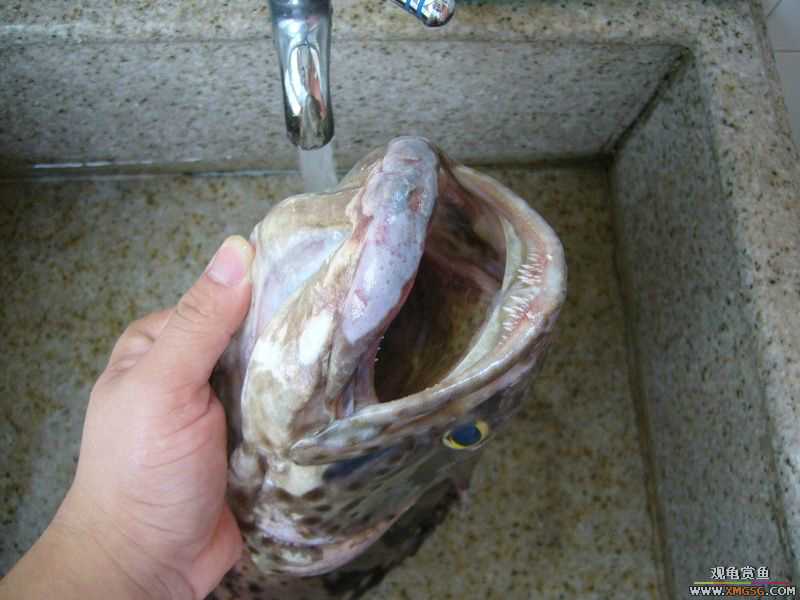 ���������ˣ������Ų���