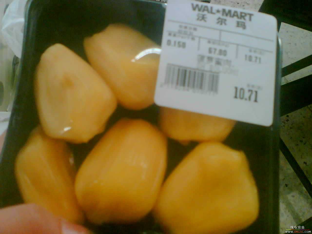 [ԭ��]����������