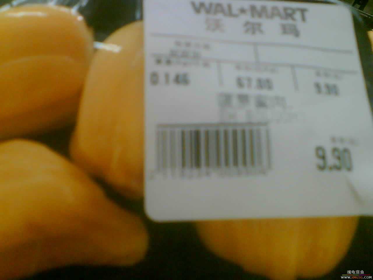 [ԭ��]����������