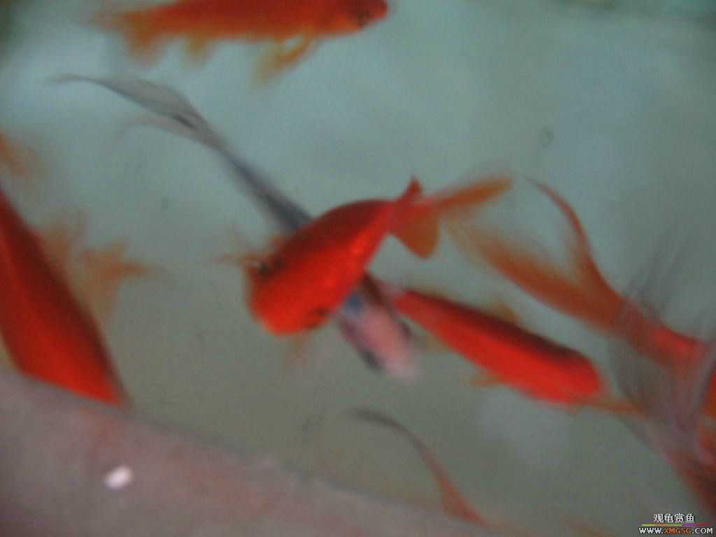 [�̼�]������֮�� ����·